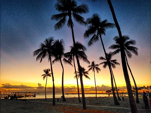 Waikiki Sunset