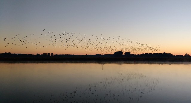 Just before the sunrise.....6-8-2018