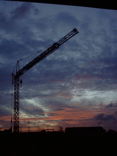 Crane at sunset