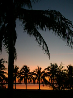 Big Pine Key