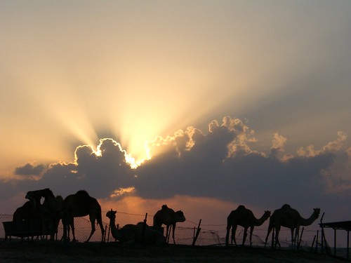 Dubai Sunset