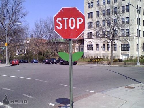 stop flower - 1600 Argonne NW