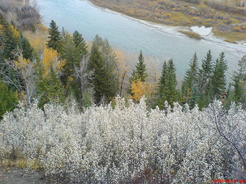 Douglas Fir Trail