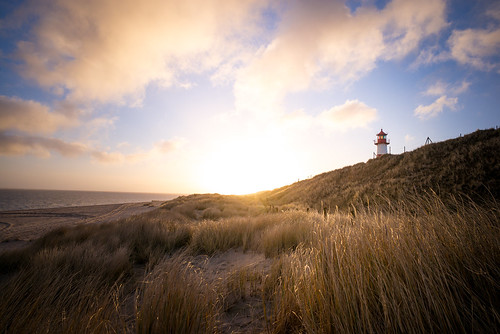 Lighthouse Morning