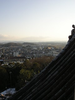 Iga Castle roof