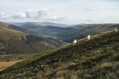 Talybont