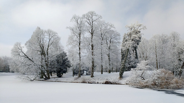 Winter beauty