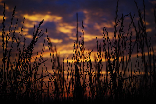 20150627_04_SIGMA dp2 Quattro Twilight