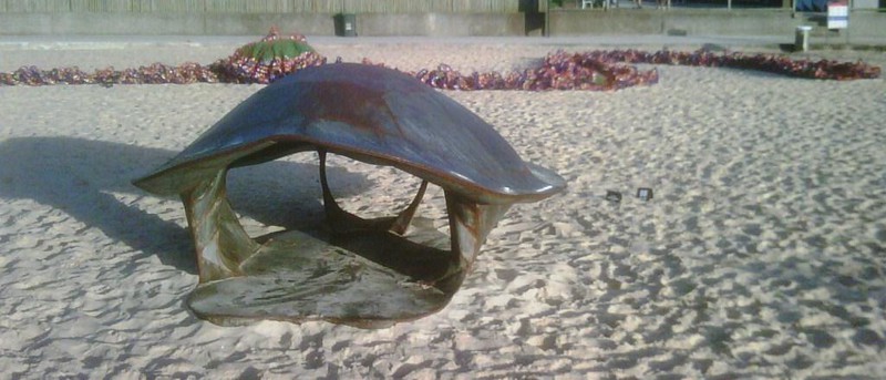 Turtle sculpture, Tamarama beach