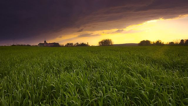 A field nearby