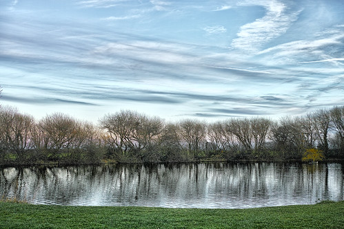 Evening Skies