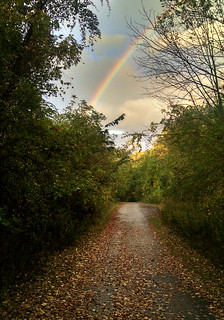 Rainbow and path #1