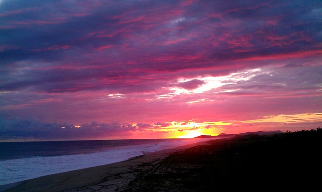 El Venado, Puerto Escondido, OAXACA 💗😍