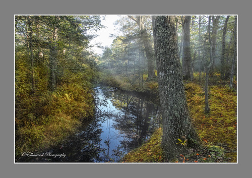 Autumn Stream