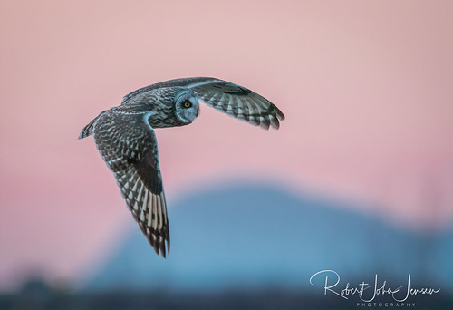 Evening Light Flyby