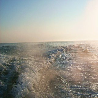 Ocean Waves, 2009