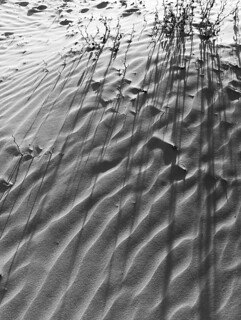 Beach in winter