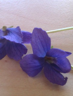 Violets