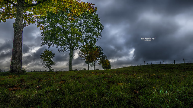 Odeurs et couleurs d'automne