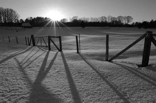 Snow Shadows