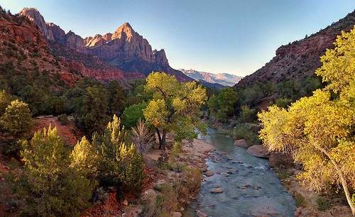 From Zion's Bridge