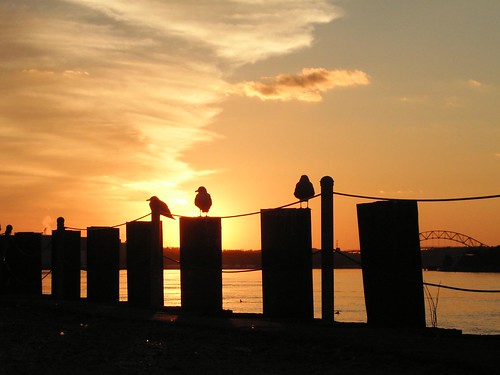 Sunset in Cape Cod