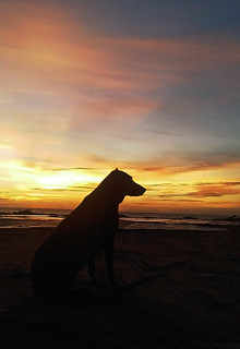 Guardian de la Bahia