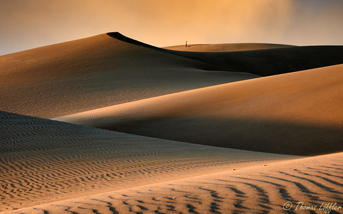 Golden Dunes