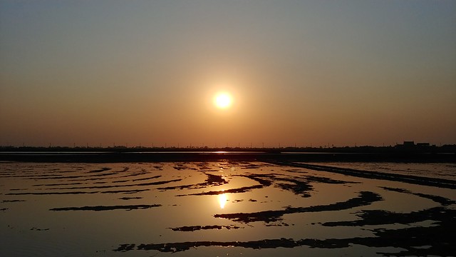 Pak Thale salt pans