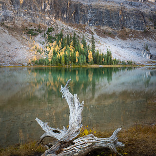 Tower Lake