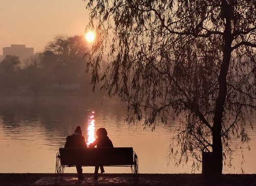 In the park before sunset