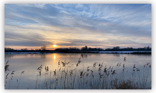 Abendstimmung am Fischteich