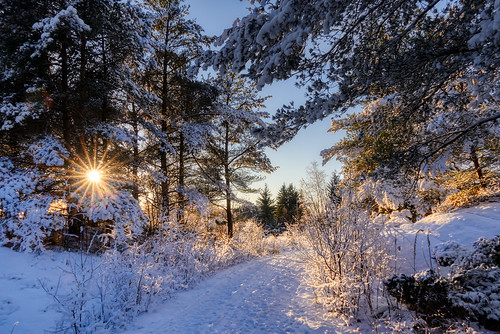 Winter afternoon, Norway (Explored)