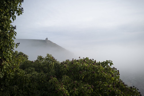 Morning in fog