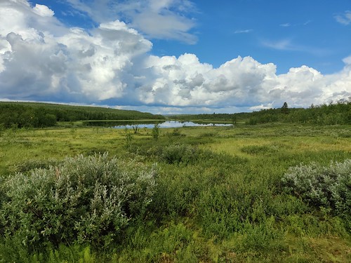 Lake Särkijärvi (Enontekiö, 20210812)