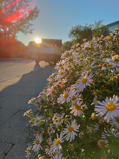 Beautiful outlook