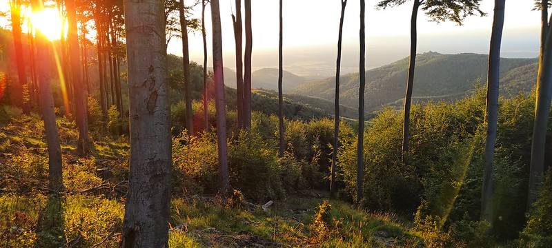 Malé Karpaty Slovakia