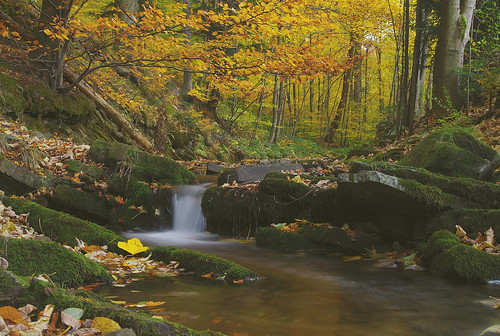 Autumn in Beskid