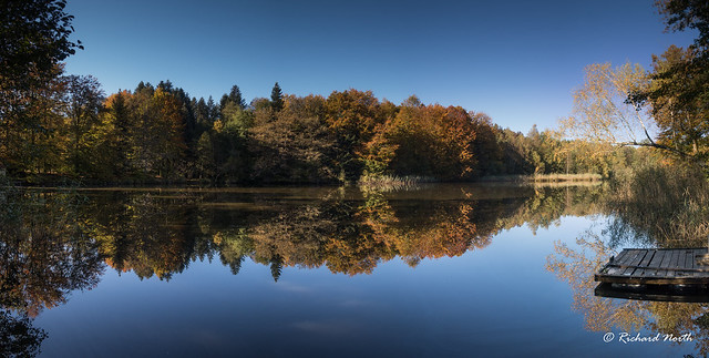 Autumn Mirror