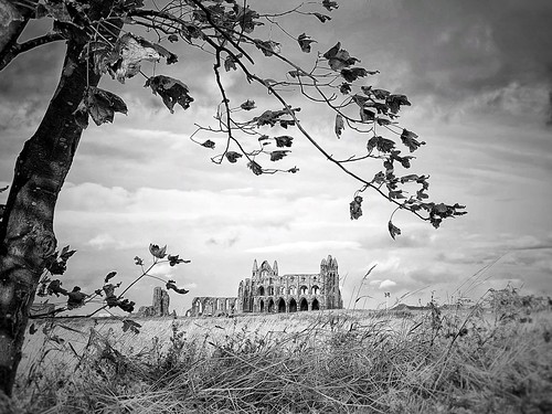 Whitby Abbey landscape in monochrome! (explore 14.11.21)