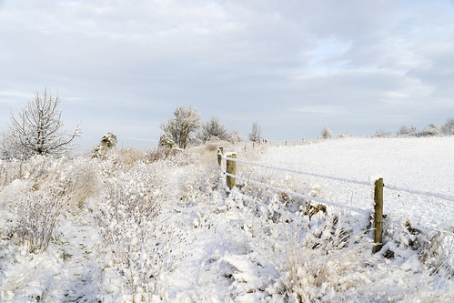 Early Snow (Explored)