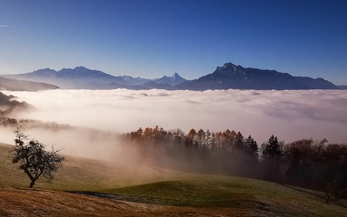 Fog about Salzburg