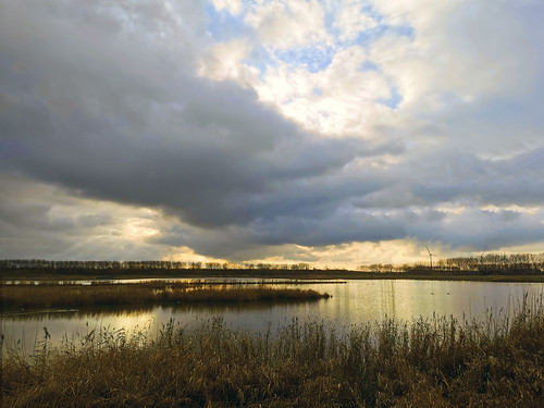 'Groot Rietveld' - Kallo - Belgium