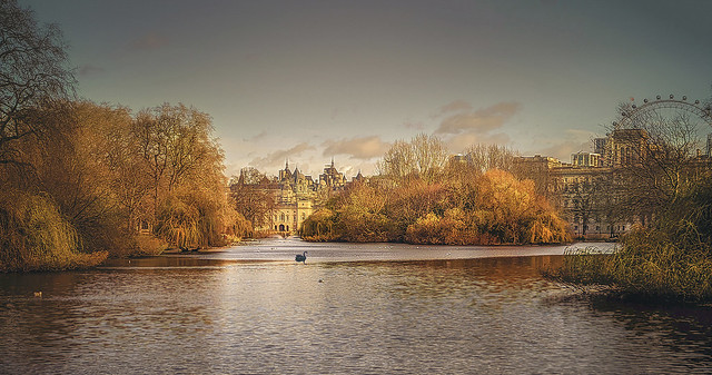 swan lake in autumn