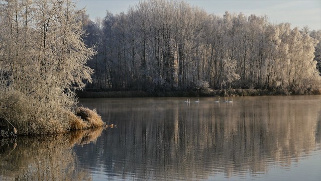 ...der Frost vom letzten Jahr...**explored**