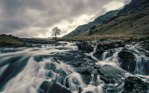 Langstrath Tree and Falls