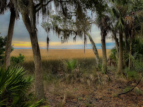 Low Country Sunset