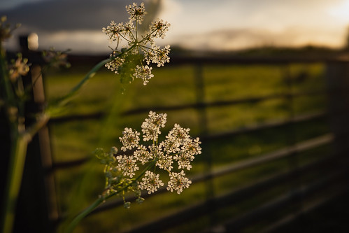 We met down by the gate.