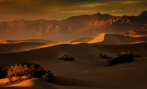 Mesquite Dunes