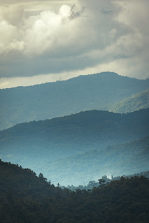 Naga Hills | Kohima City, Nagaland